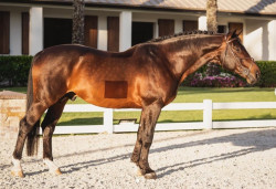 Erco Van `T Roosakker