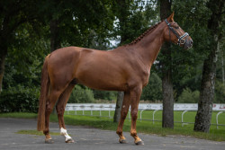 Frigat-Arieļ